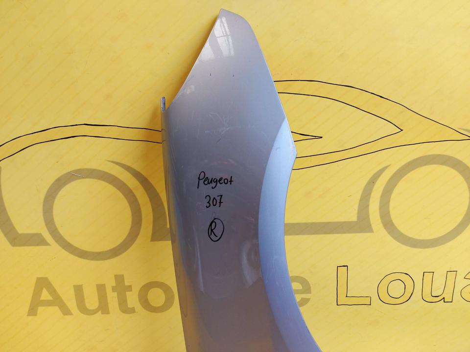 Peugeot 307 Kotflügel Vorne Rechts Original ✅
