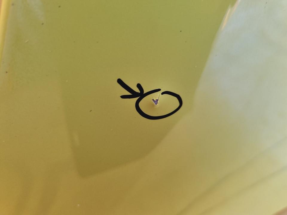 Honda E Kotflügel vorne links Original ✅