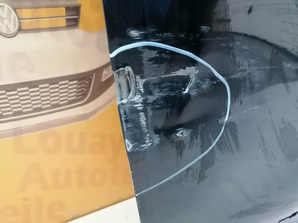 Dacia Sandero Stepway Tür vorne links Original ✅