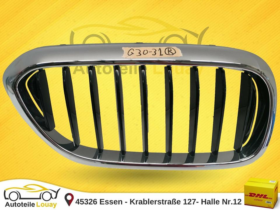 BMW G30 5er Niere Ziergitter rechts Luxury Original 51137390866 ✅